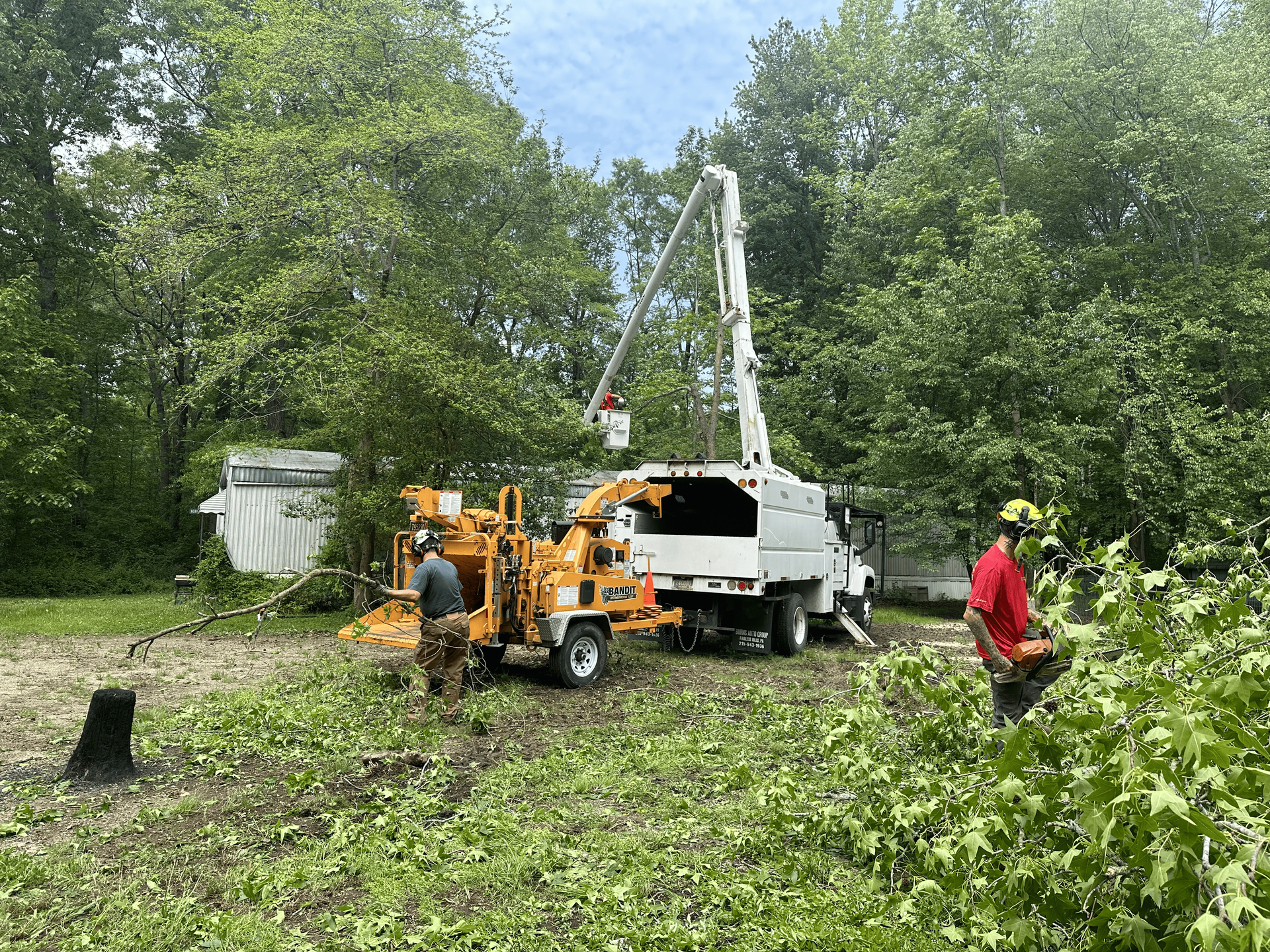 Tree pruning service protecting home and structures in Sussex County Delaware