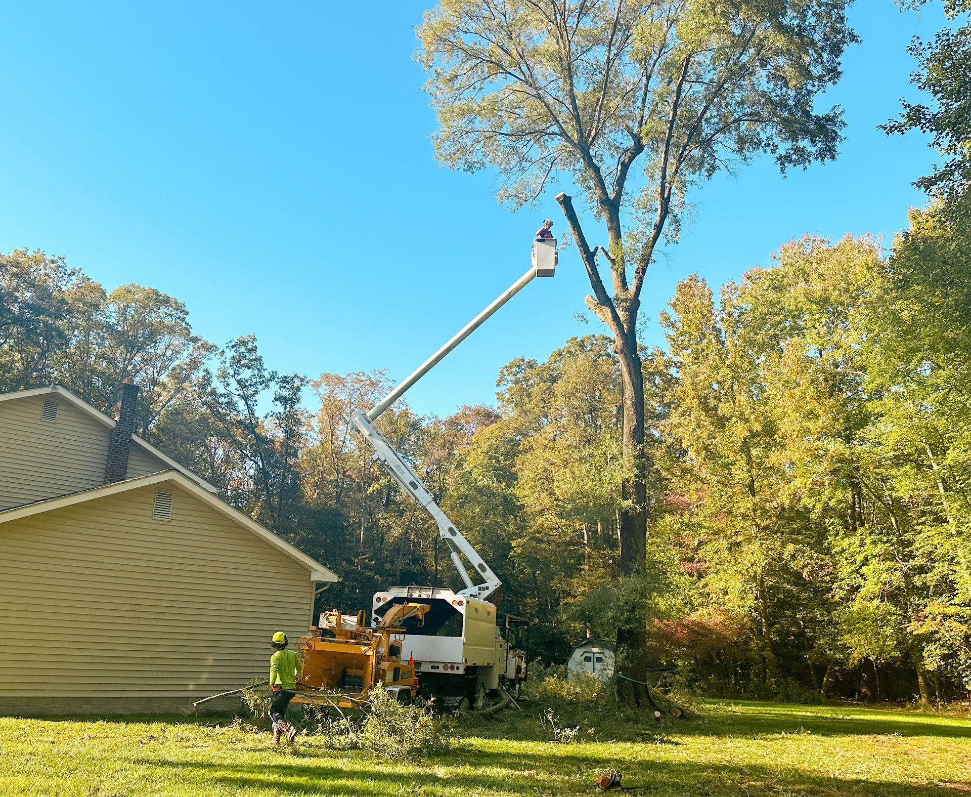 Emergency tree removal with worker in bucket truck in Milford Delaware
