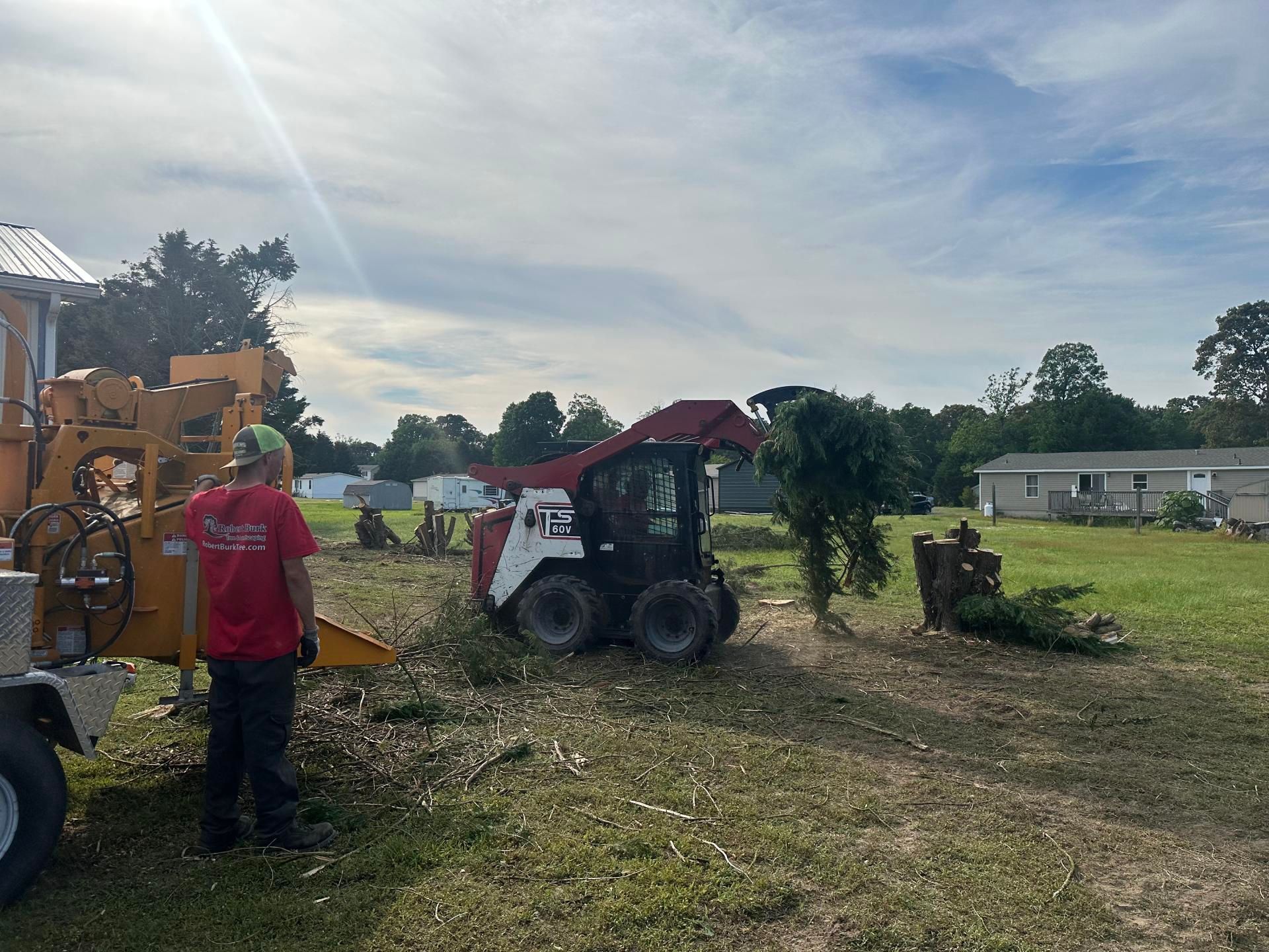 Land clearing removing trees and brush in Sussex County Delaware