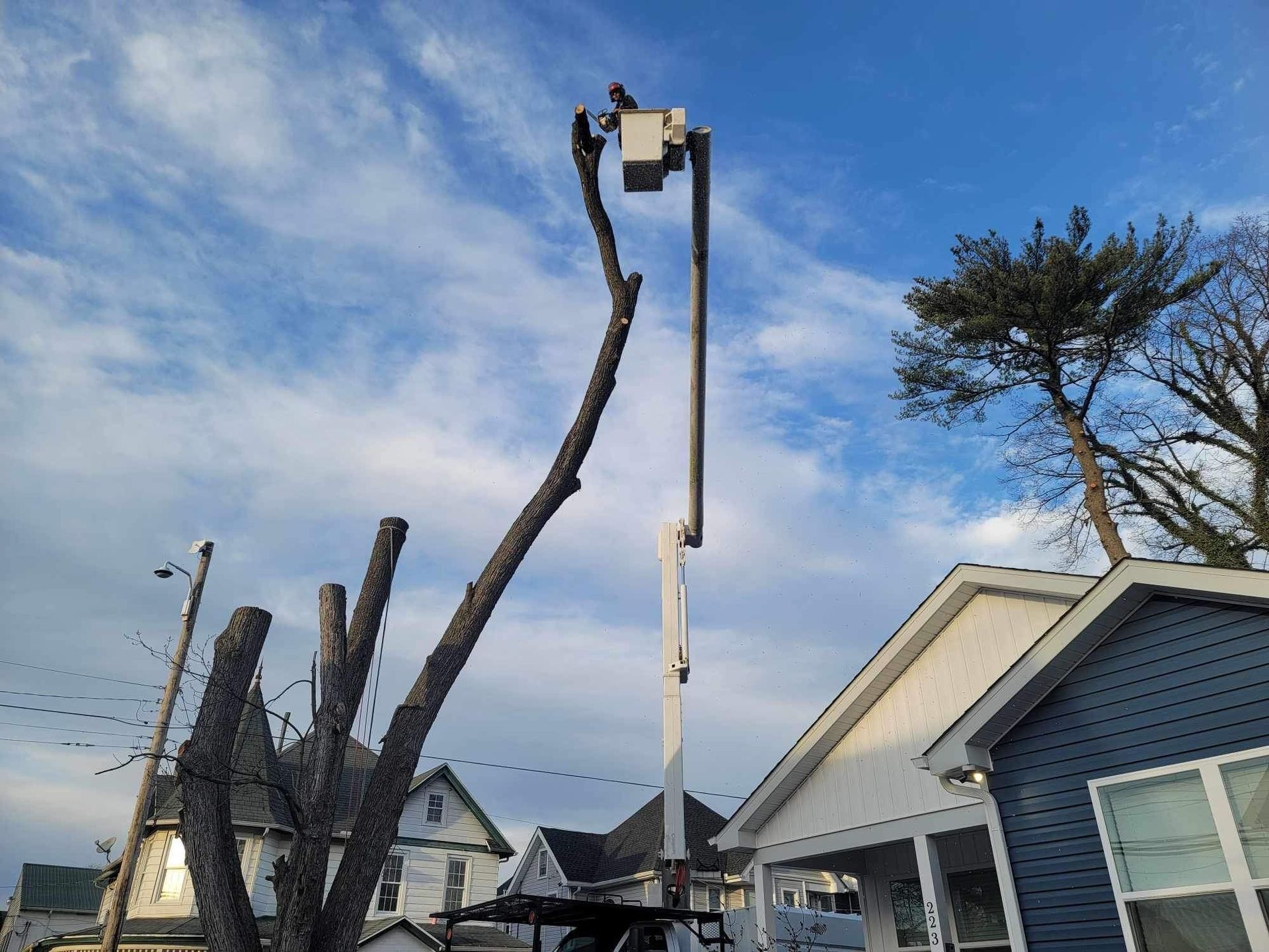 Emergency tree removal with worker in bucket truck in Milford Delaware