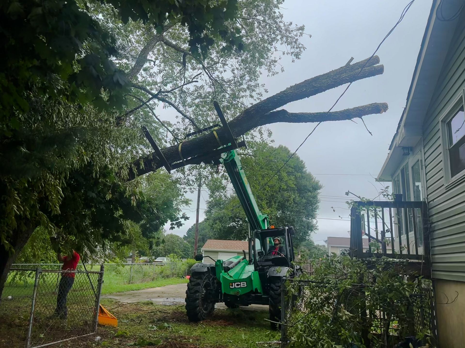 Emergency tree services removing broken limbs near home in Milford Delaware