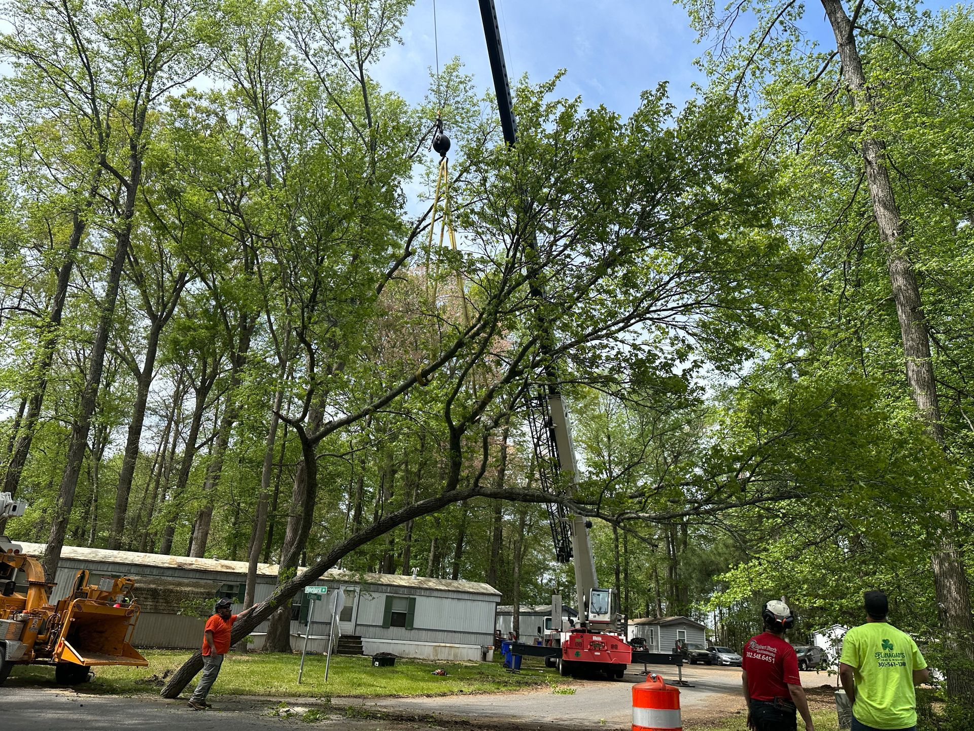 Emergency tree services responding to storm damage in Dover Delaware