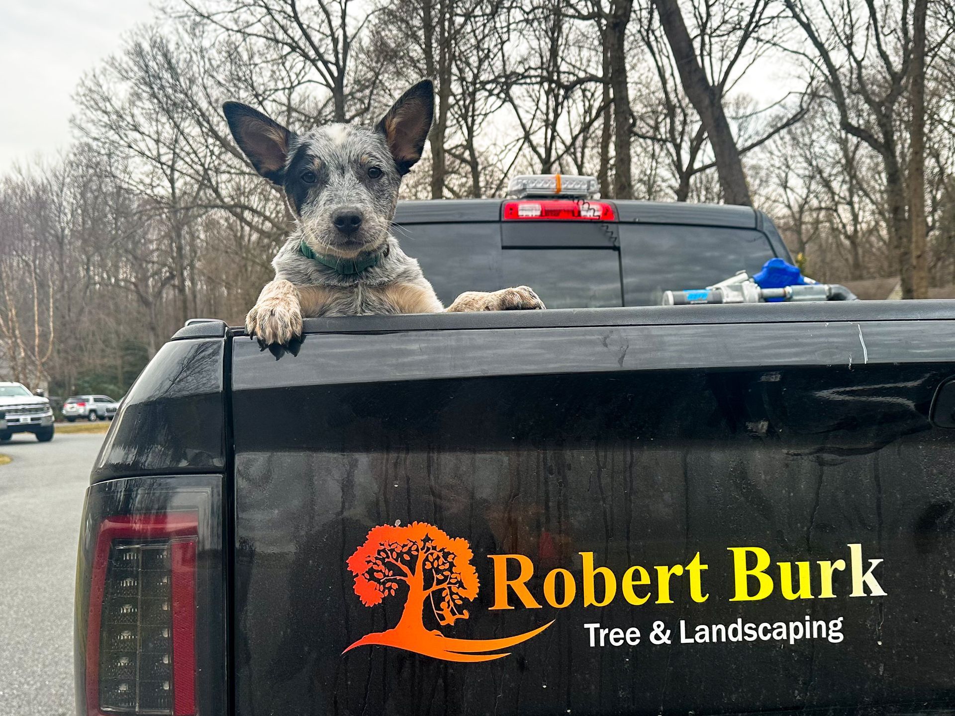 Company pickup truck with crew dog on job site in Dover Delaware