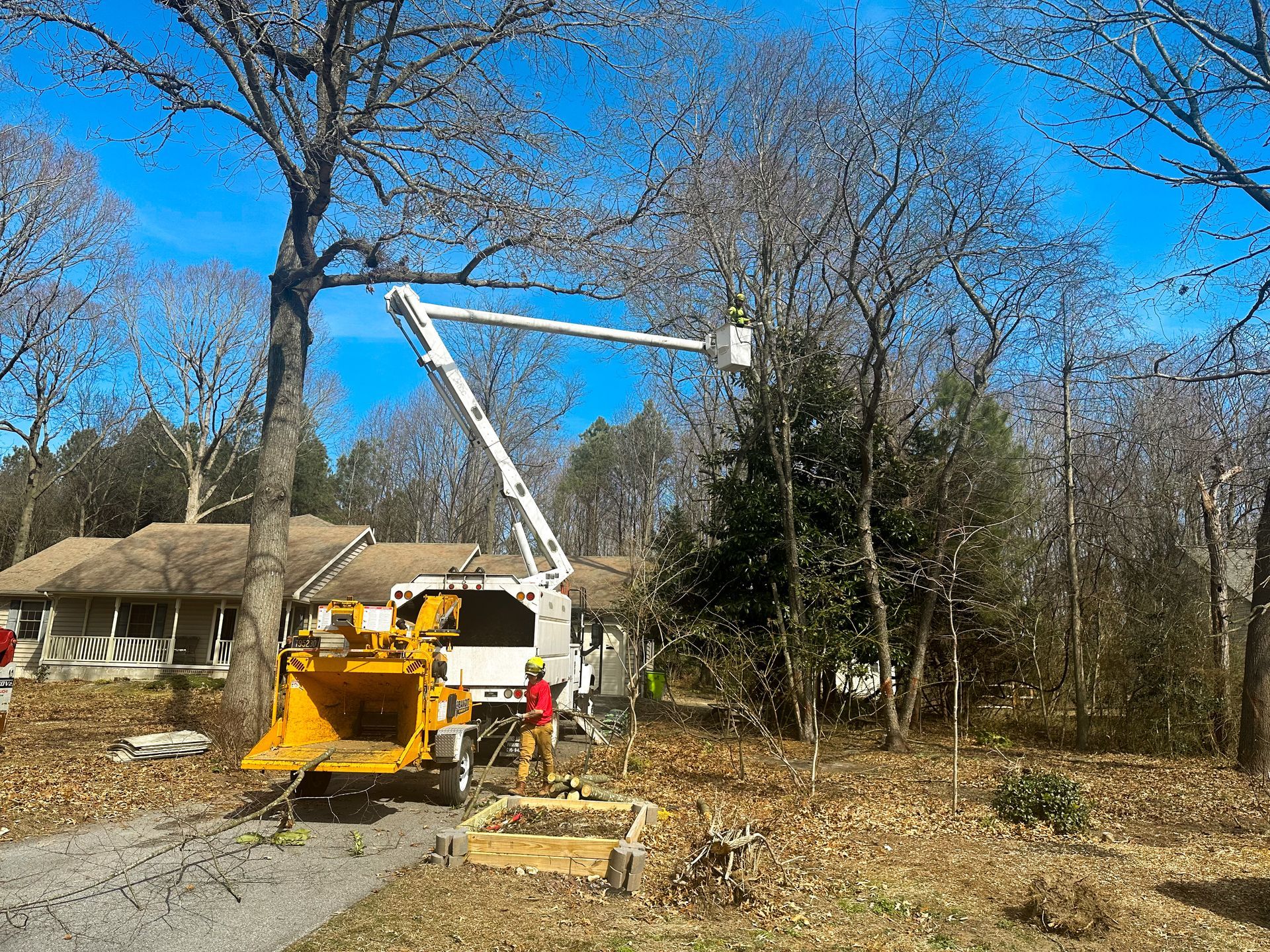 Emergency tree removal from residential property using bucket truck in Sussex County Delaware
