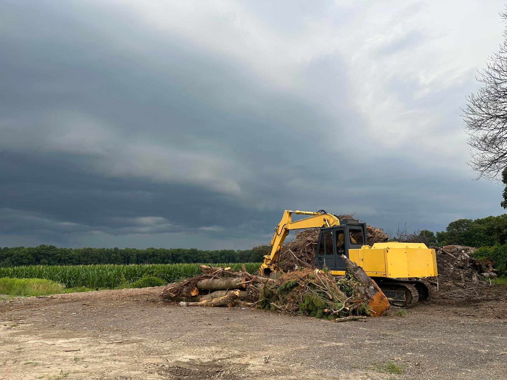 Commercial land clearing project using heavy equipment in Dover Delaware