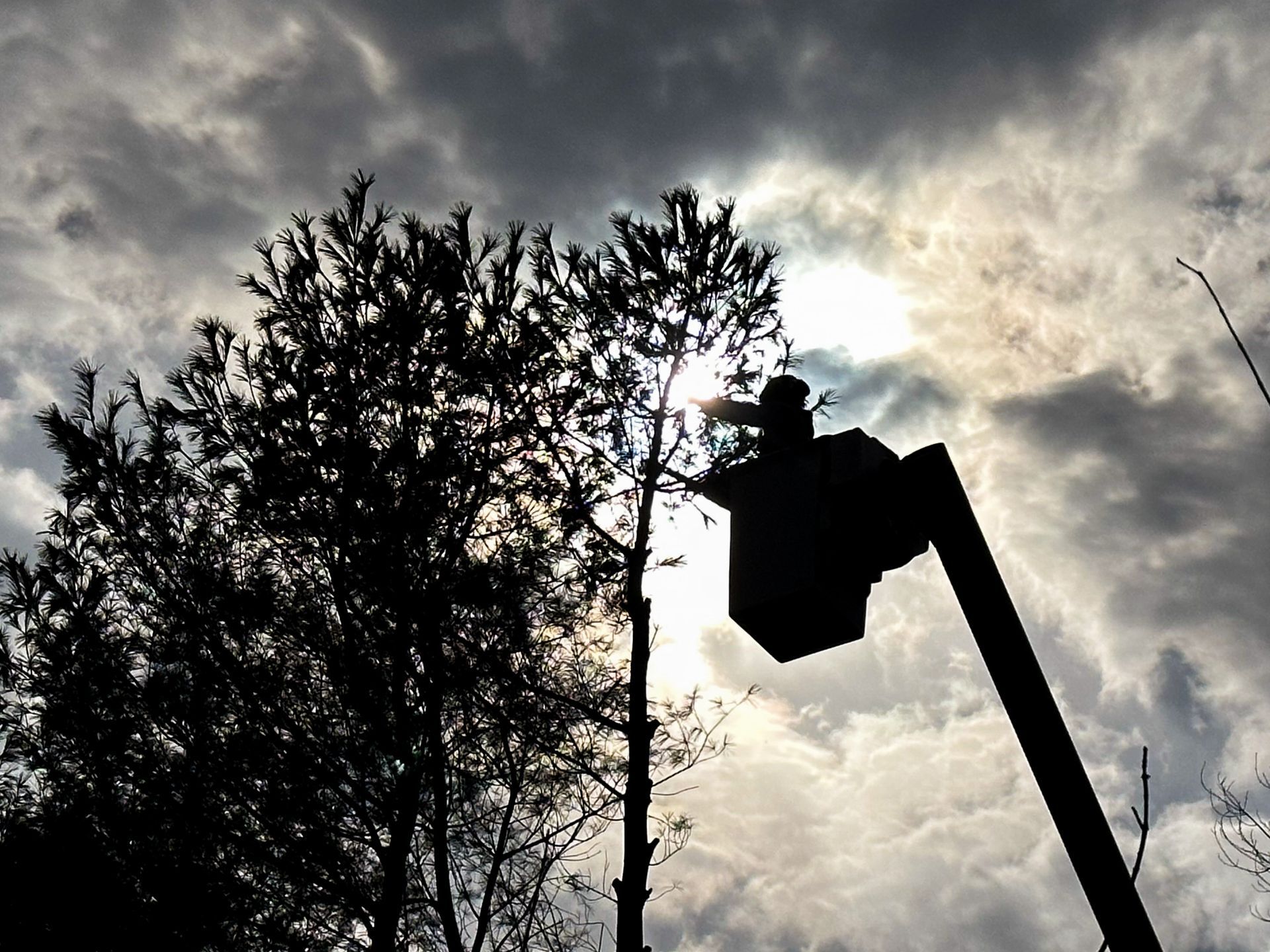 Emergency tree removal using cherry picker in Dover Delaware
