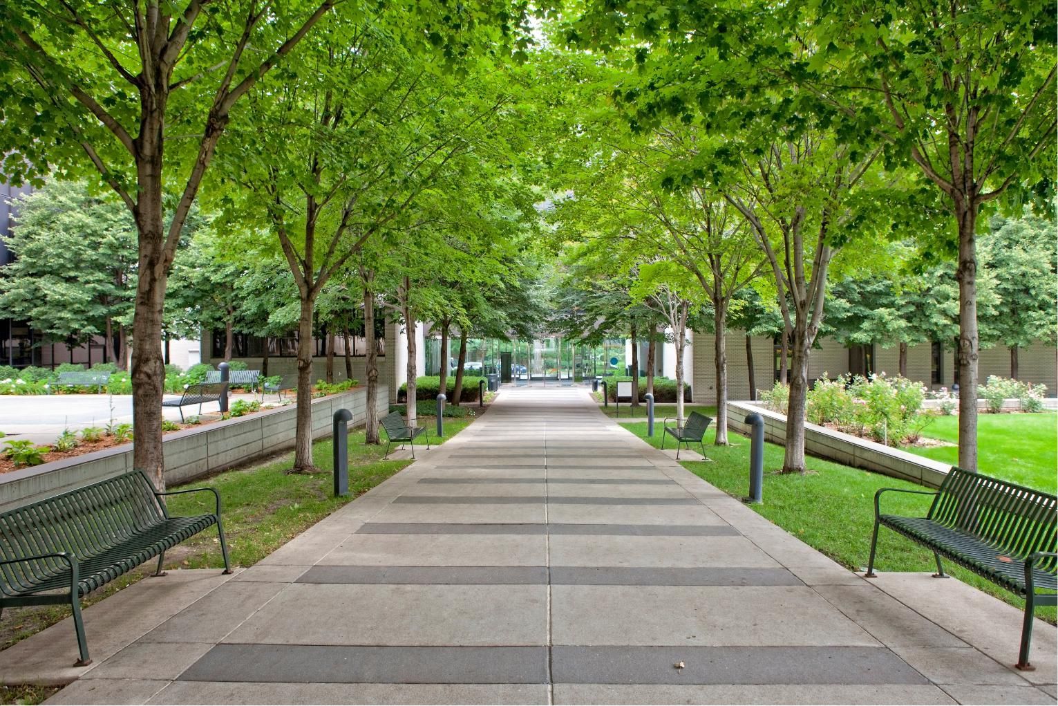 A concrete path lined with green trees and benches leads through a park area on a clear day.a