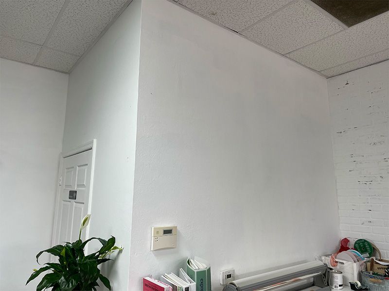 There is a plant in the corner of the room.