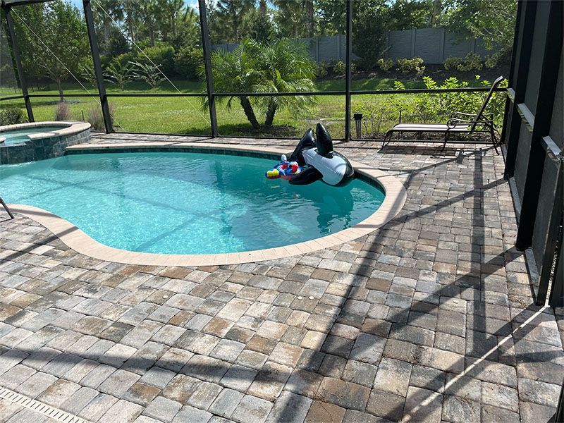 A penguin float is floating in a swimming pool.