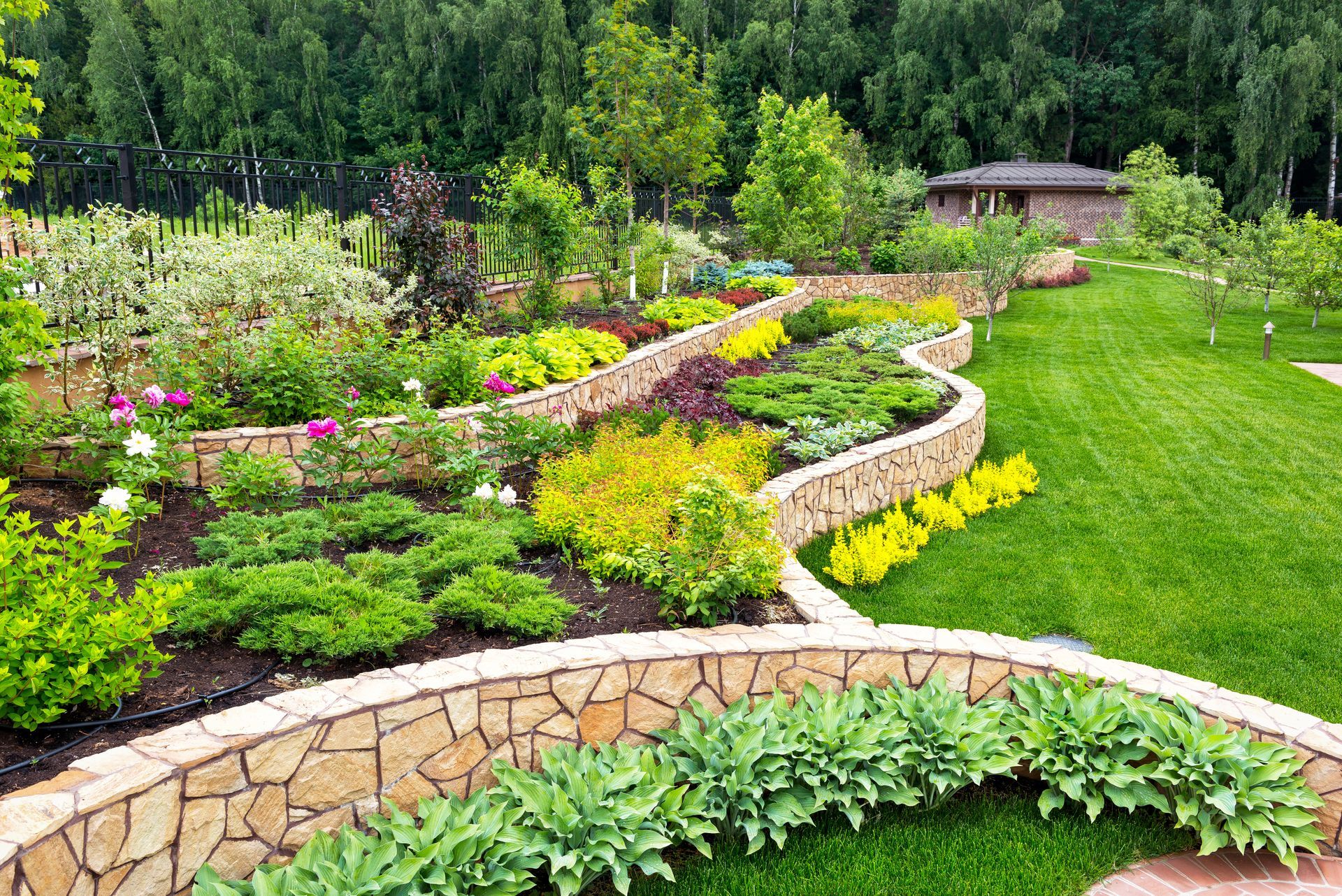 A lush green garden filled with lots of plants and flowers.