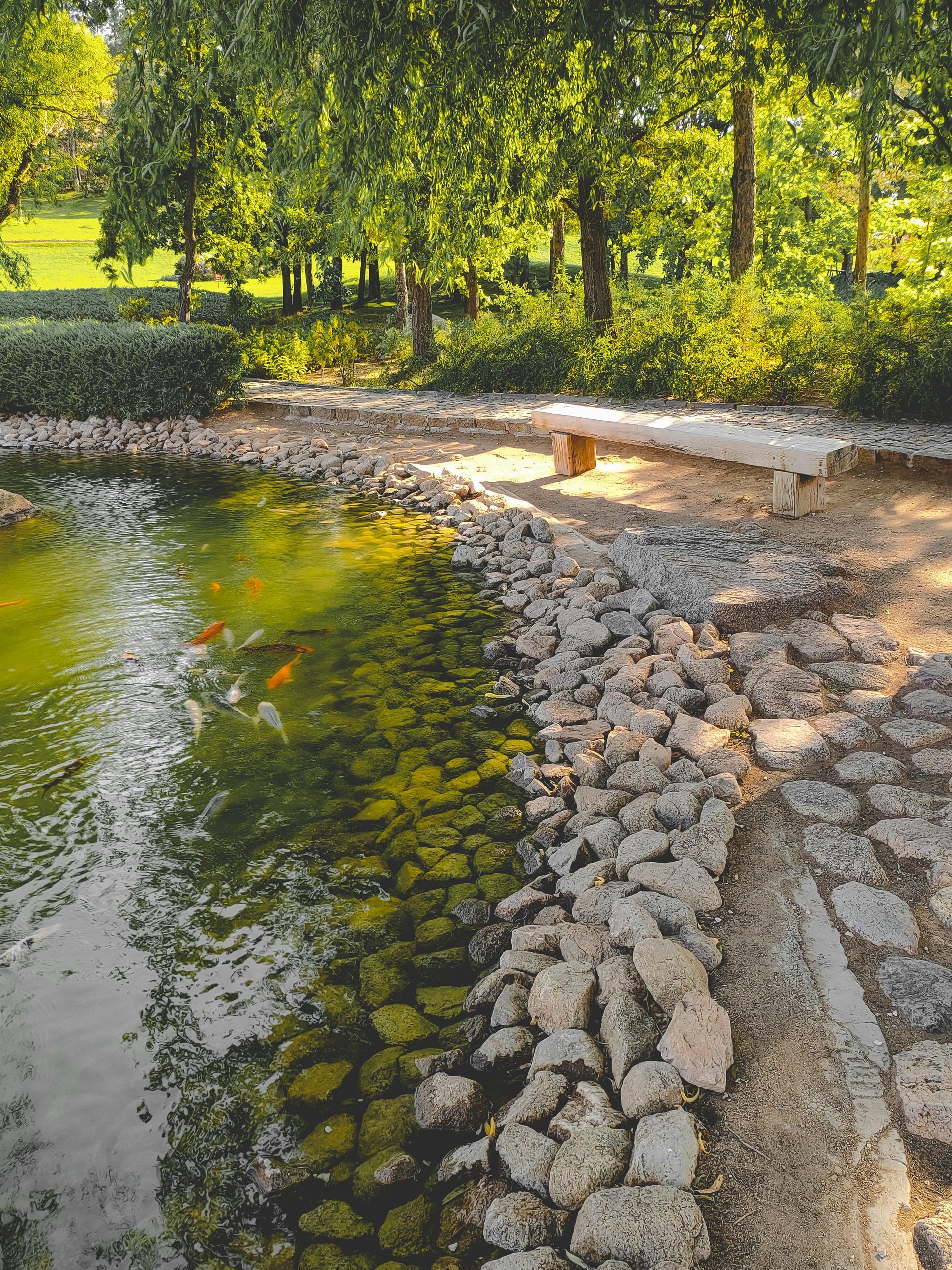 A pond with koi fish swimming, surrounded by a rocky shoreline and a stone bench in a park with lush green trees.