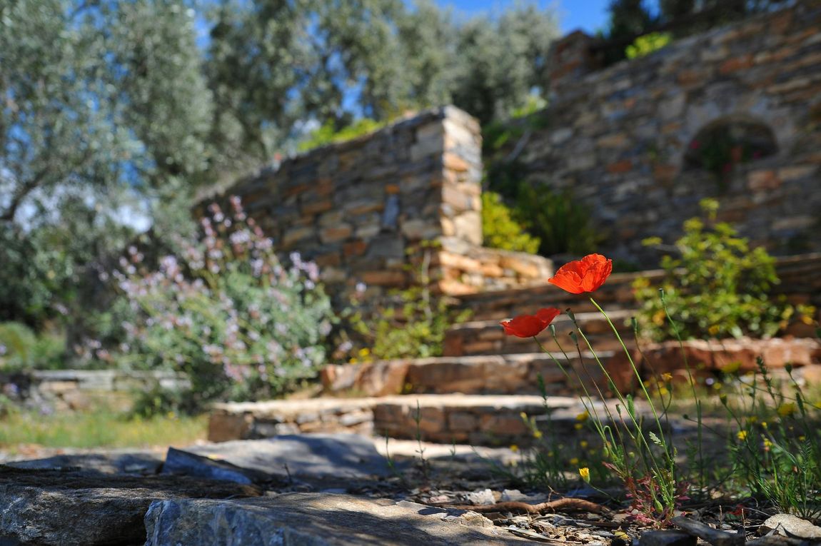 A man is kneeling down in a garden planting flowers.