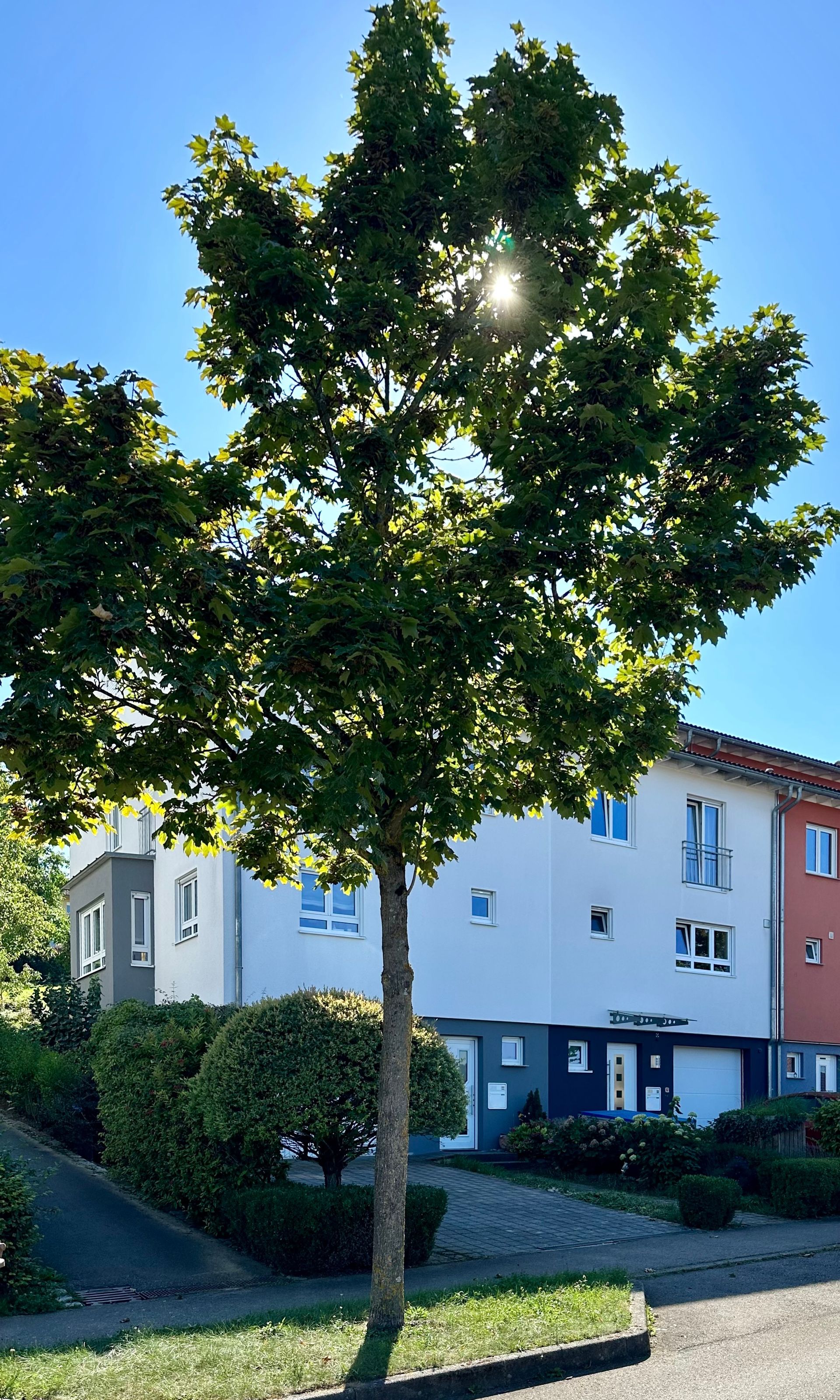 Reiheneckhaus kaufen in 73779 Deizisau Ines Bleek Immobilien
