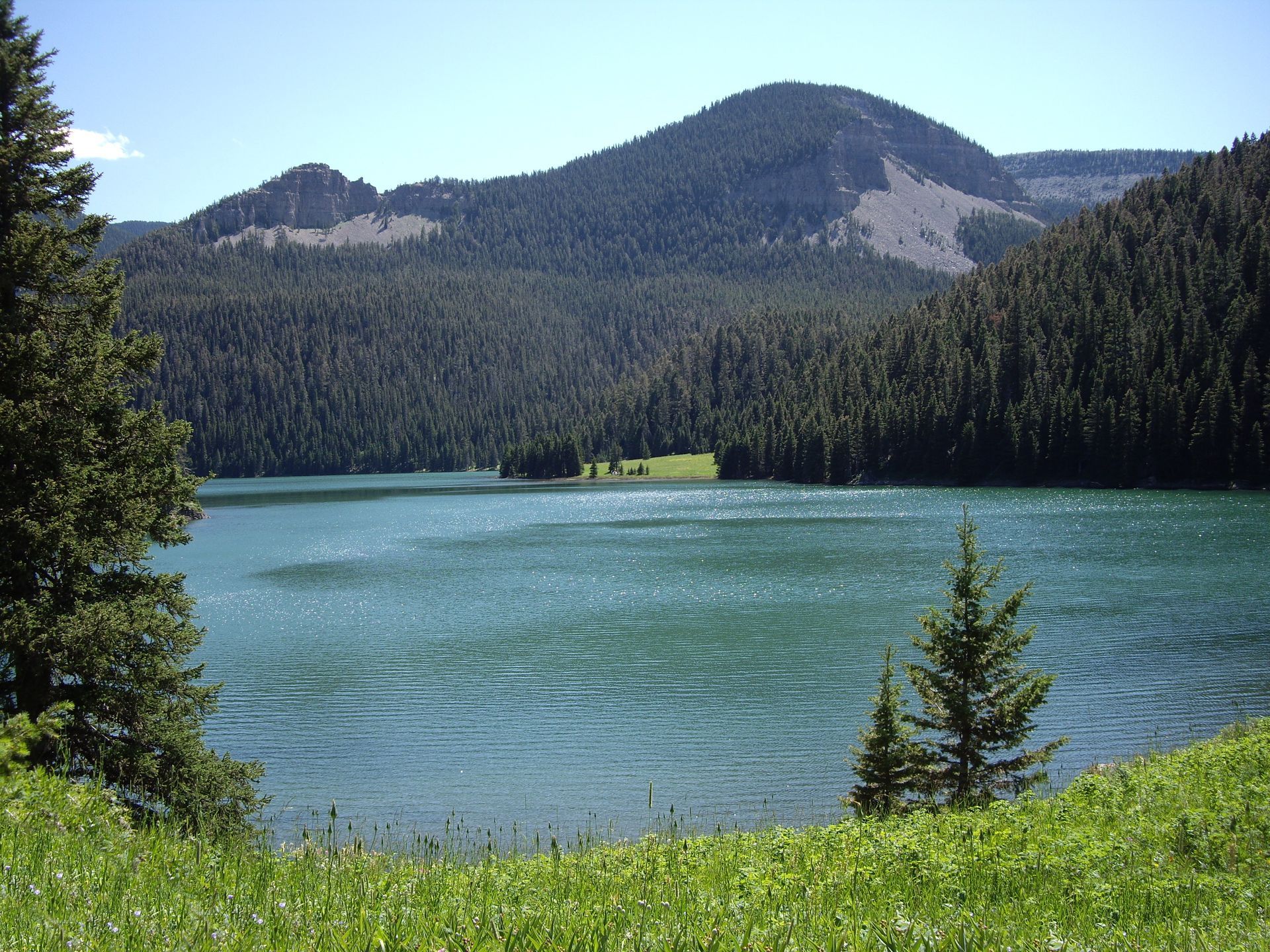 Lake surrounded by a forest and mountains under a bright, sunny sky. Green grass in the foreground.