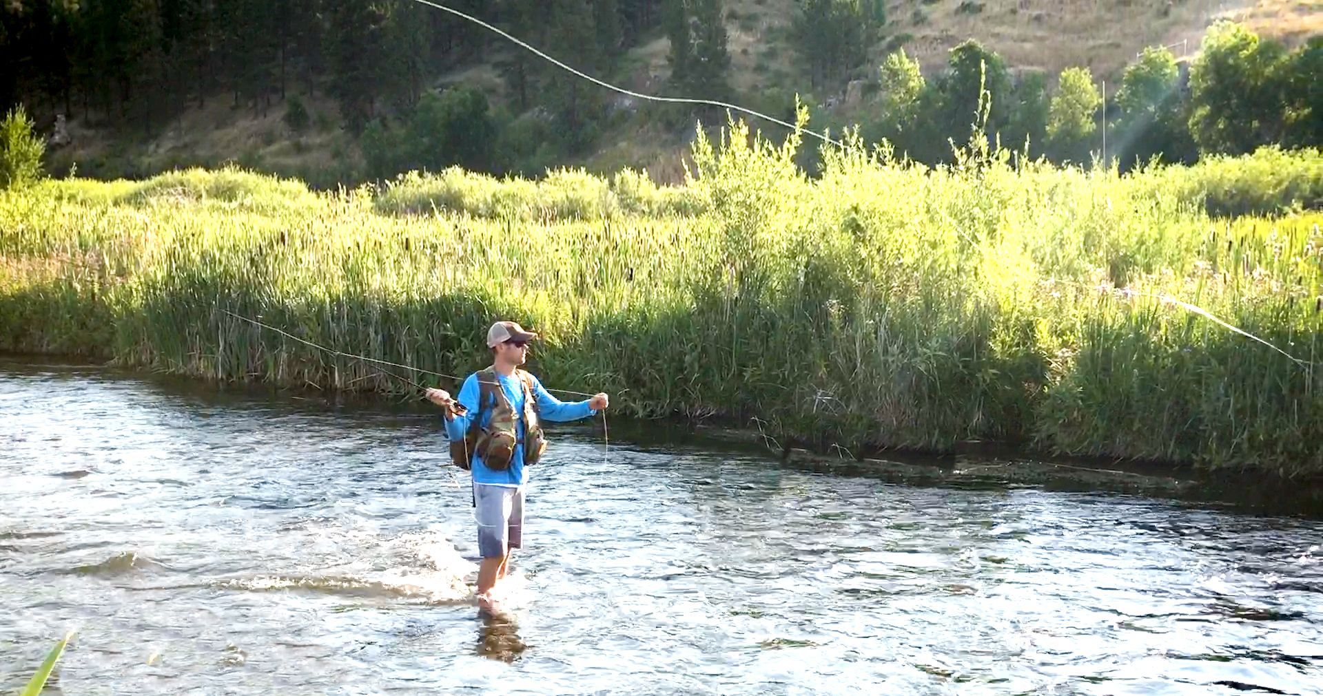 Person fly fishing in a river, casting a line. Lush green foliage and trees in the background. Sunny day.