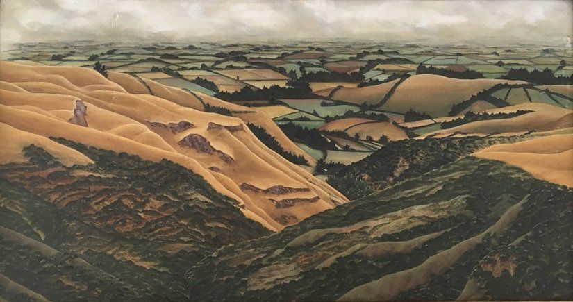 Canterbury Plains from the Bellbird