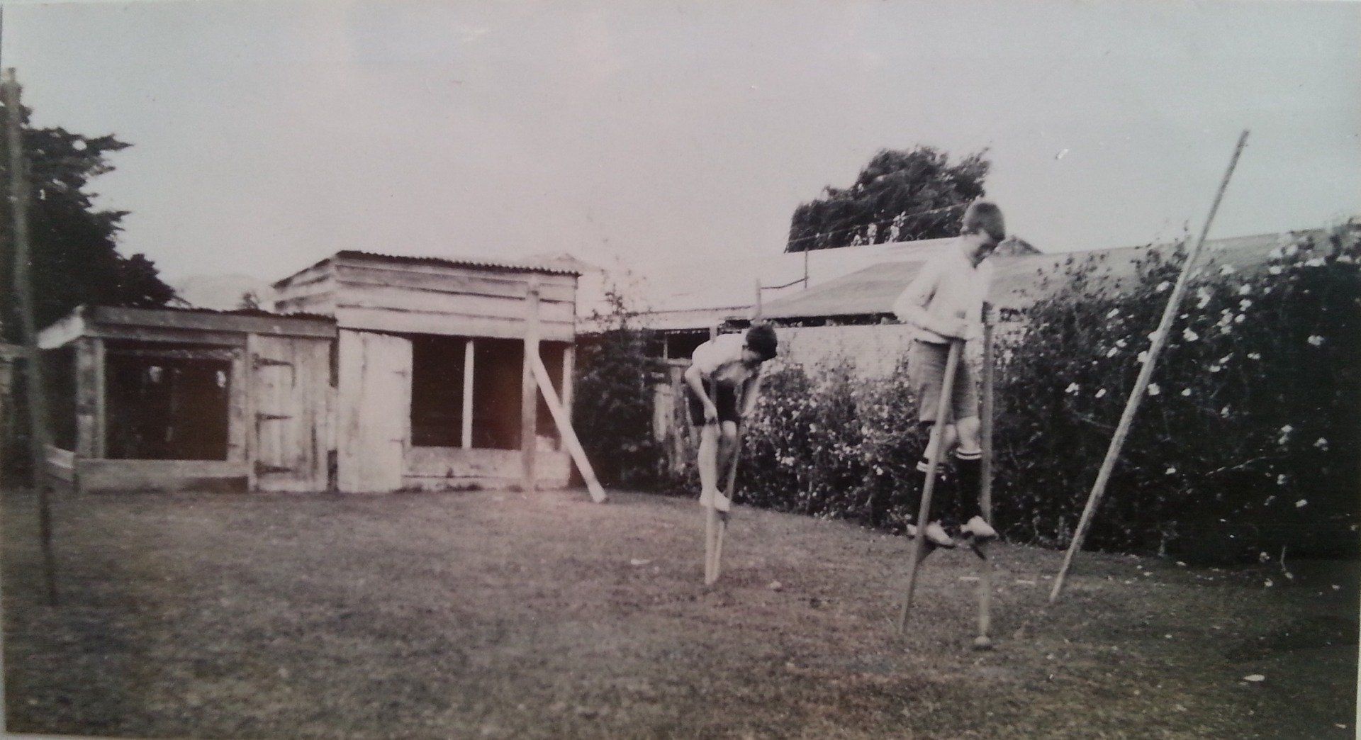 Doug & Ron MacDiarmid Hospital drying greens & old hen house