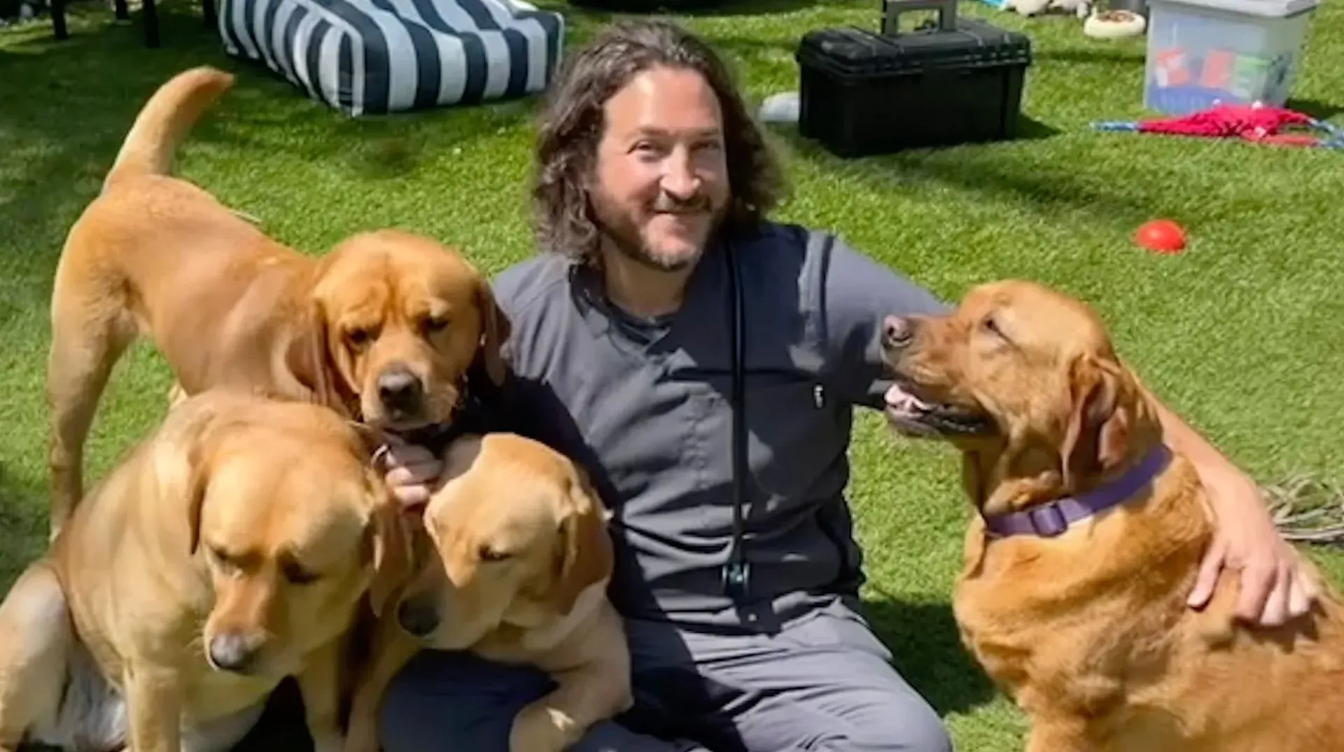 Man sitting on grass with four golden retrievers in a sunny backyard