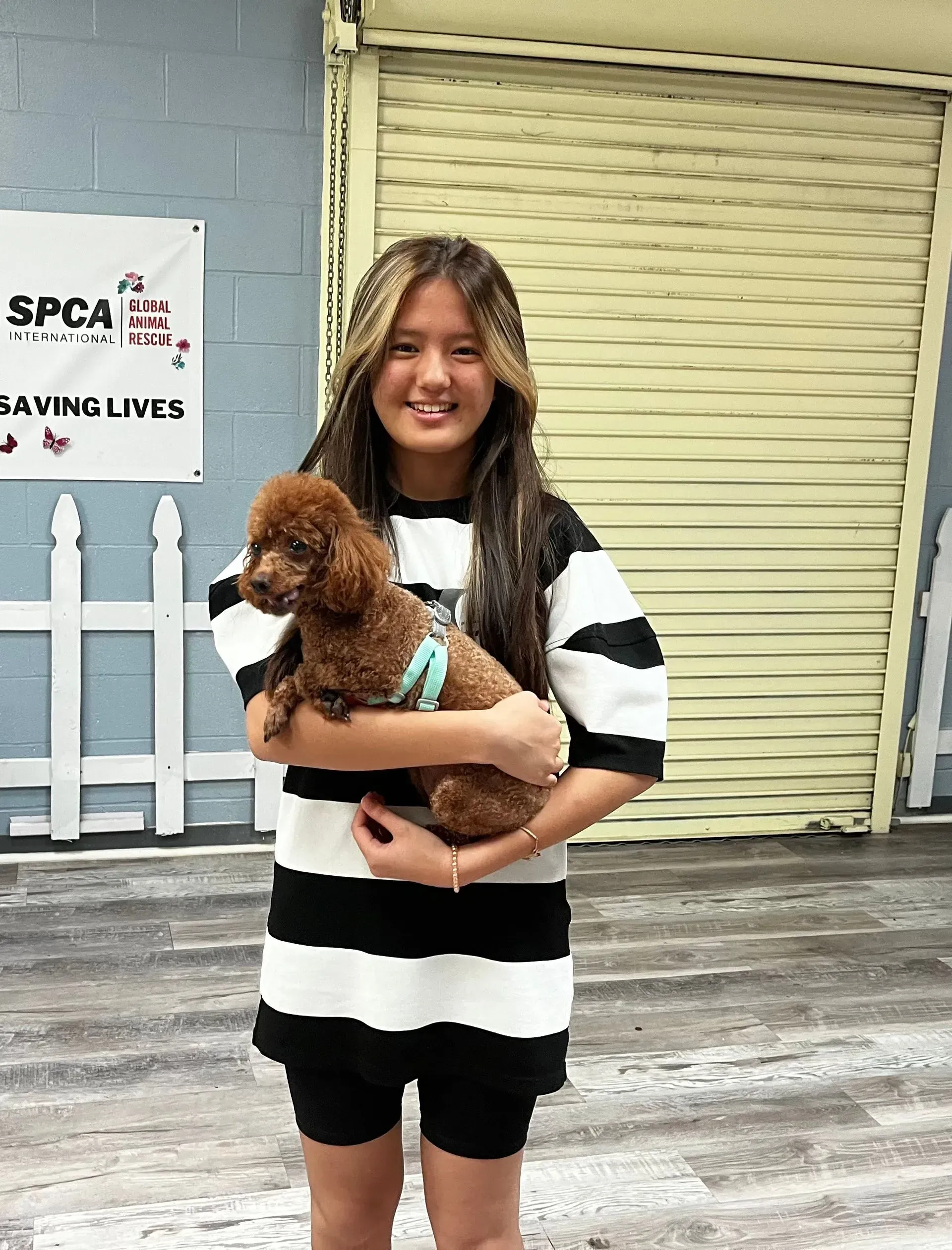 Woman holding a small brown poodle in front of a shuttered storefront with a SPCA sign.
