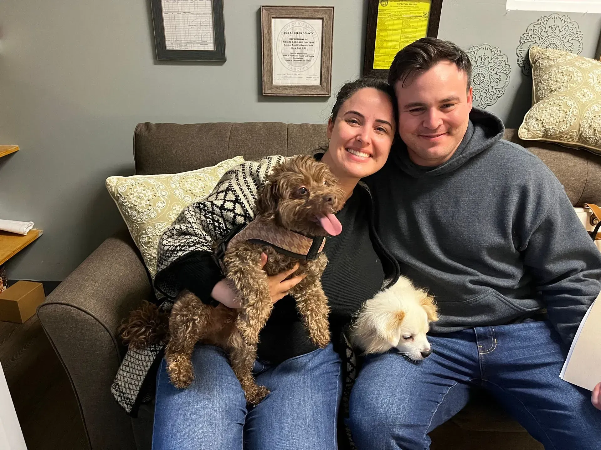 Smiling couple on a couch with two small dogs in a cozy living room