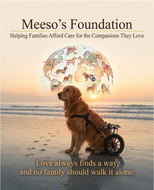 Meesos Foundation