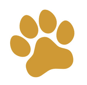 Golden-brown paw print icon on a white background