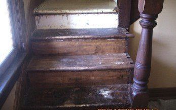 Wooden staircase, weathered steps, and a dark-stained banister.