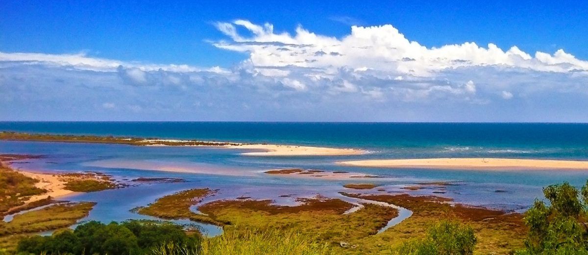A view of a body of water with trees in the foreground and the ocean in the background.