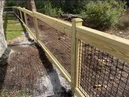 Yellow fence along a gravel path beside trees and shrubs in a sunny outdoor area