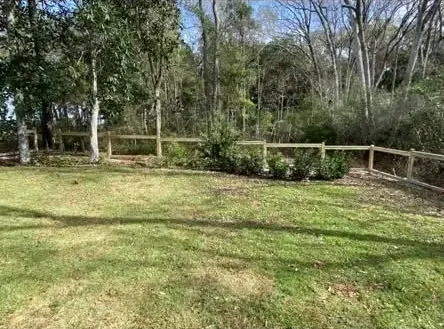 Grassy backyard with trees and a wooden fence in bright sunlight