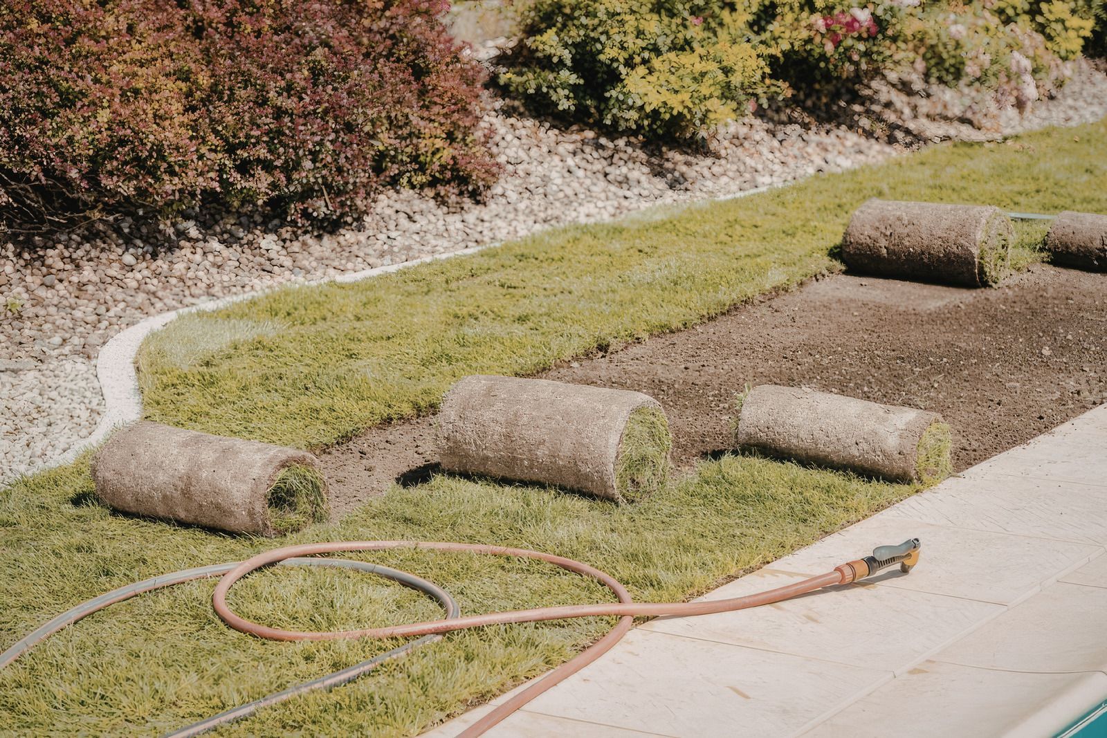 Garden with freshly rolled sod patches beside a concrete walkway and a hose in the foreground
