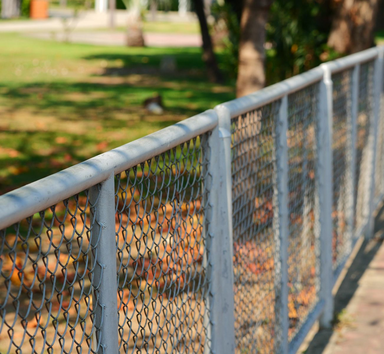 Chain-link fence beside a sunlit park path with trees and fallen leaves