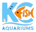 saltwater fish tank aquarium maintenance