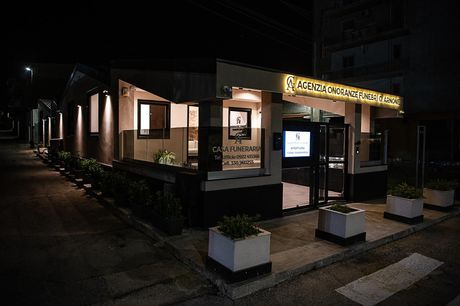 Vista notturna di una piccola vetrina illuminata con insegne e piante in vaso all'esterno.