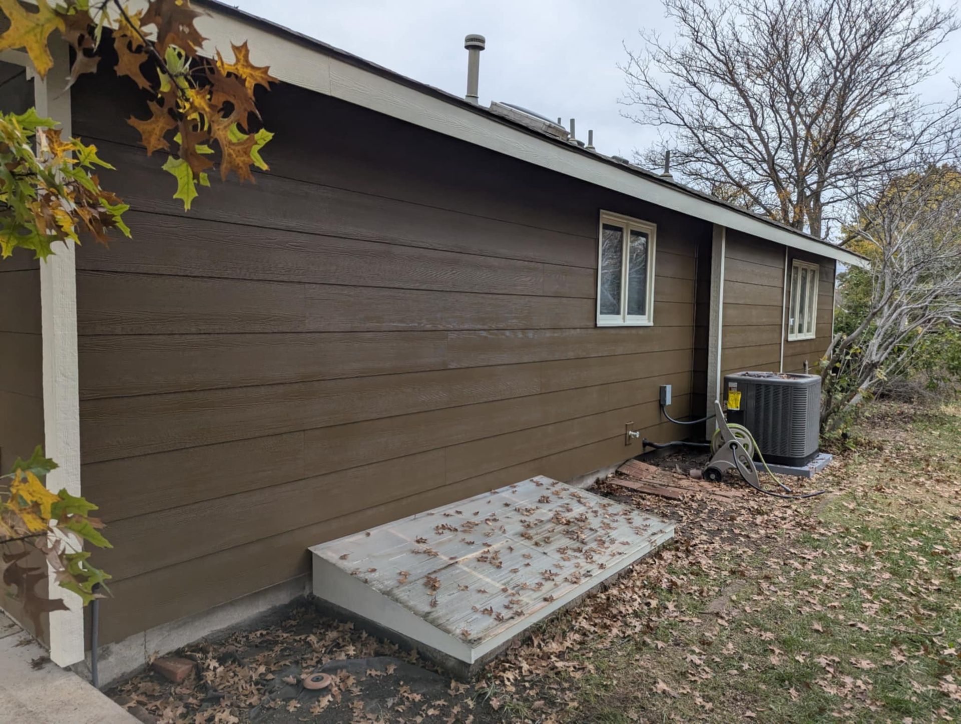 Brown siding of a house with two windows and a concrete basement door. Leaves cover the ground.
