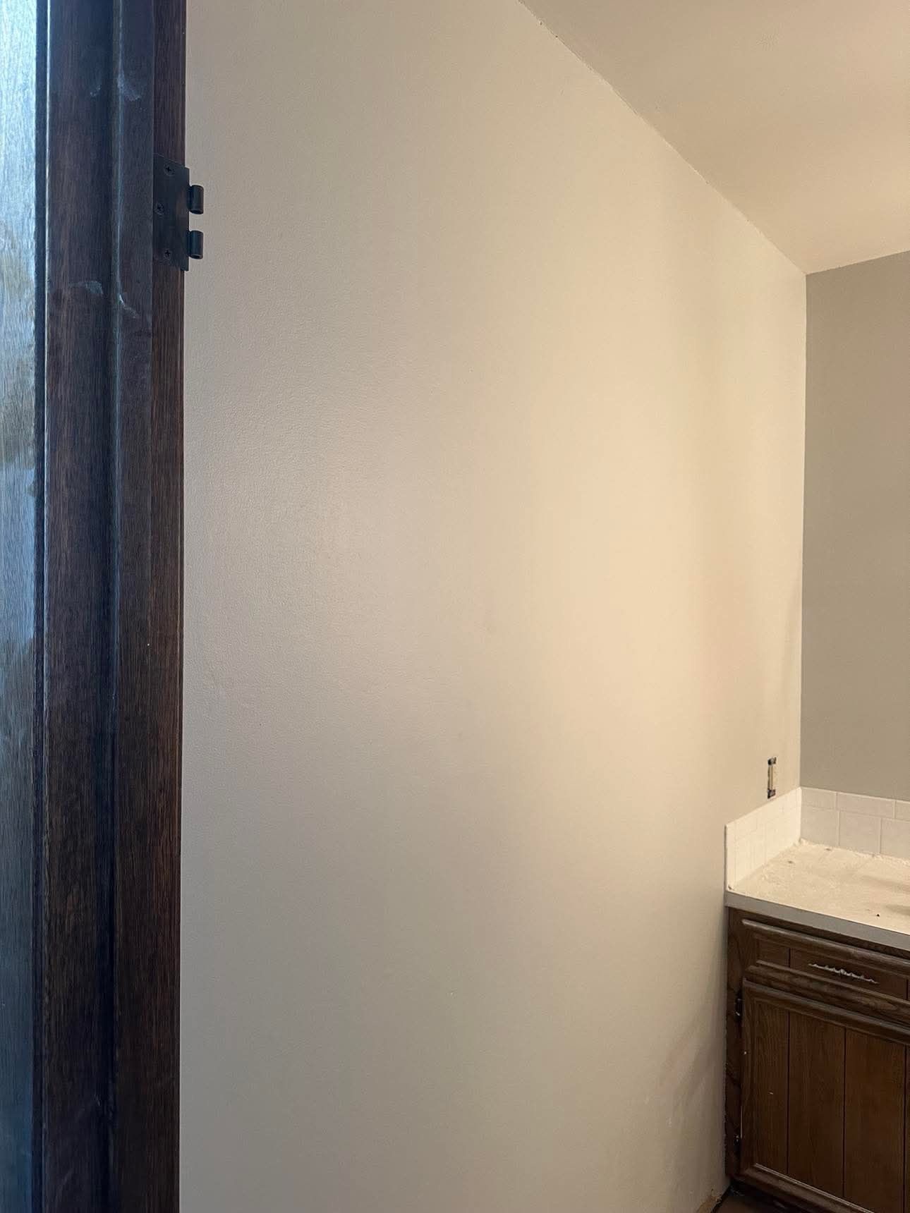 A bathroom with a white wall and wooden cabinets.