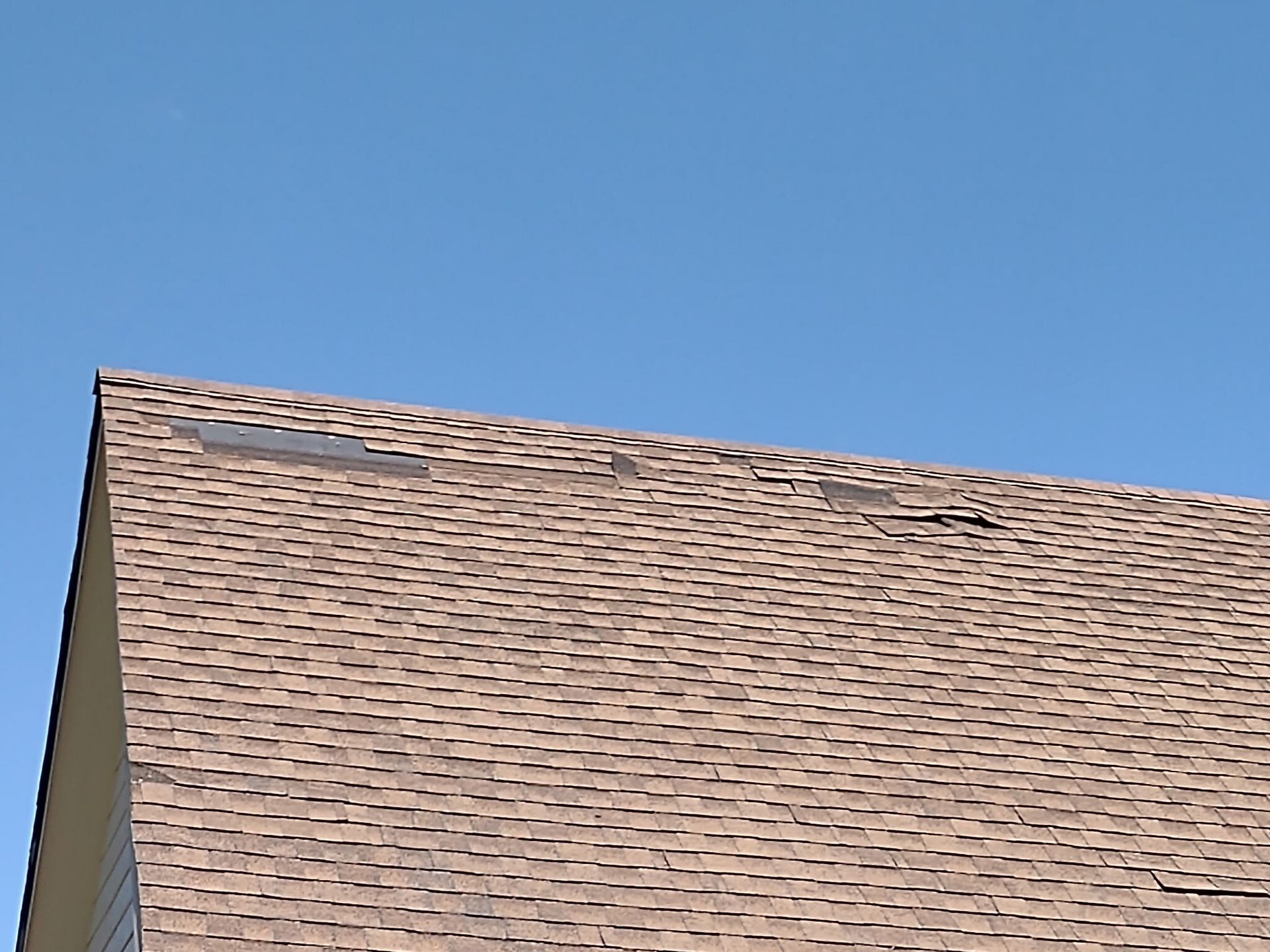 Brown asphalt shingle roof with damaged areas against a clear blue sky.