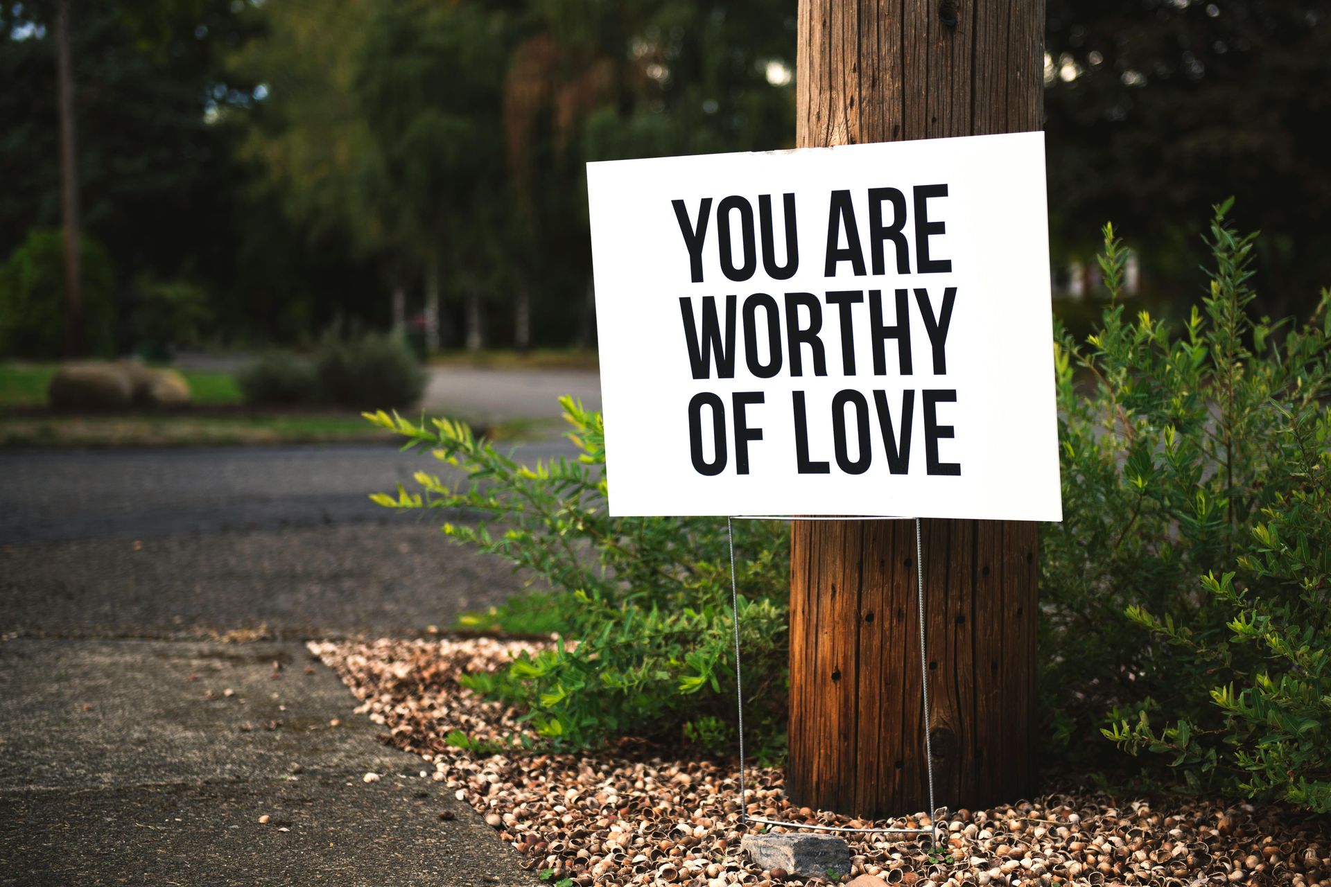 The Power Of Empathy &Raquo; Pexels Photo 953162