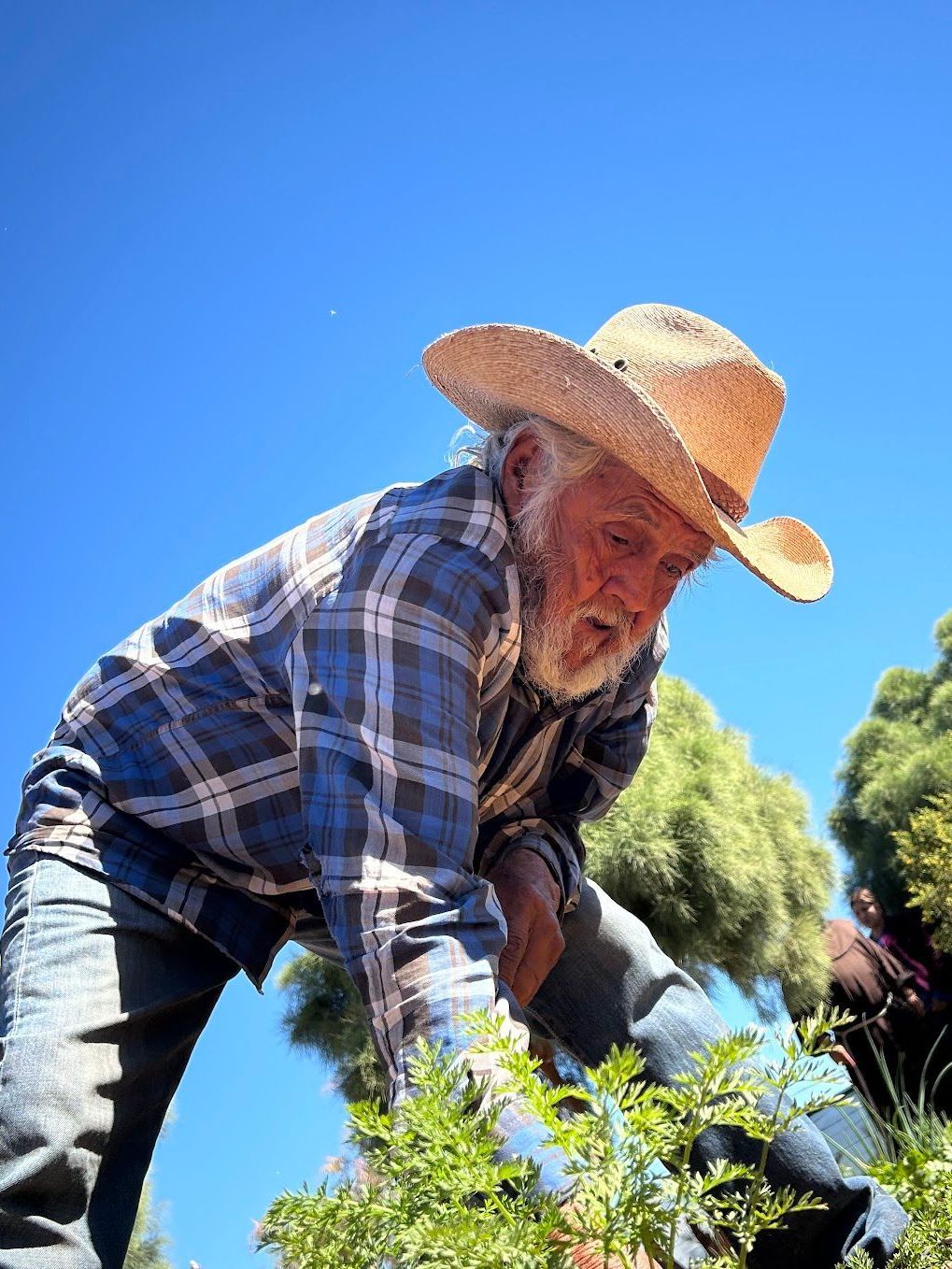 A man wearing a straw hat and plaid shirt is working in a garden.