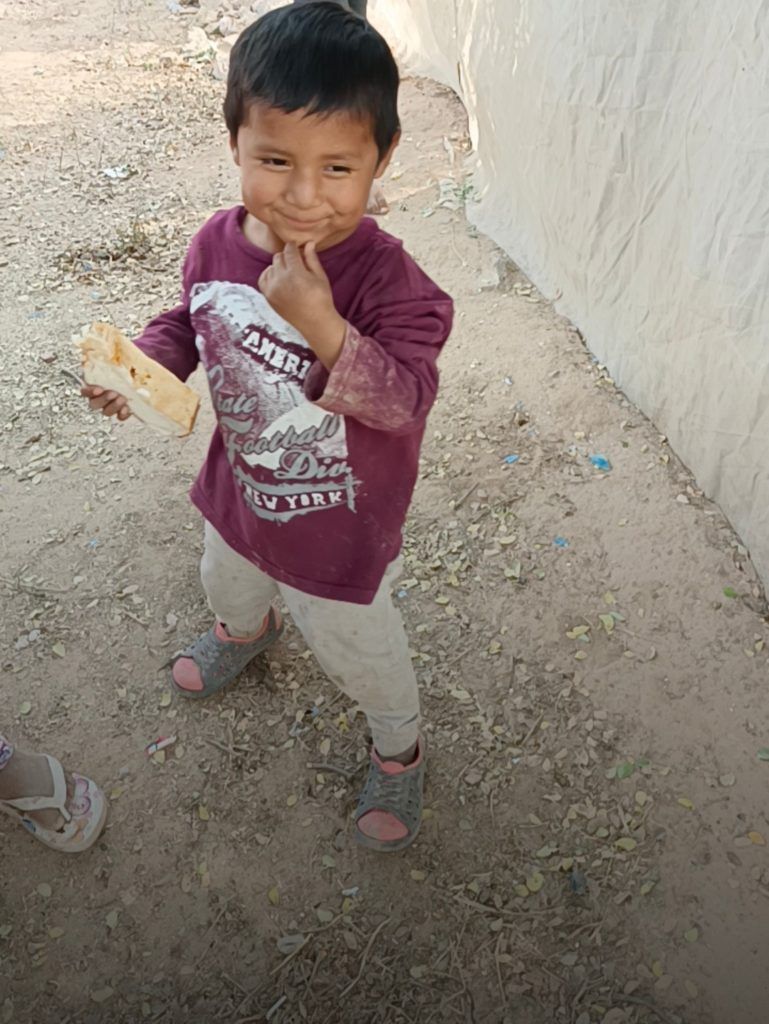 A little boy in a purple shirt is eating a piece of bread.