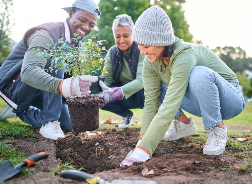 A group of people are planting trees in a park.