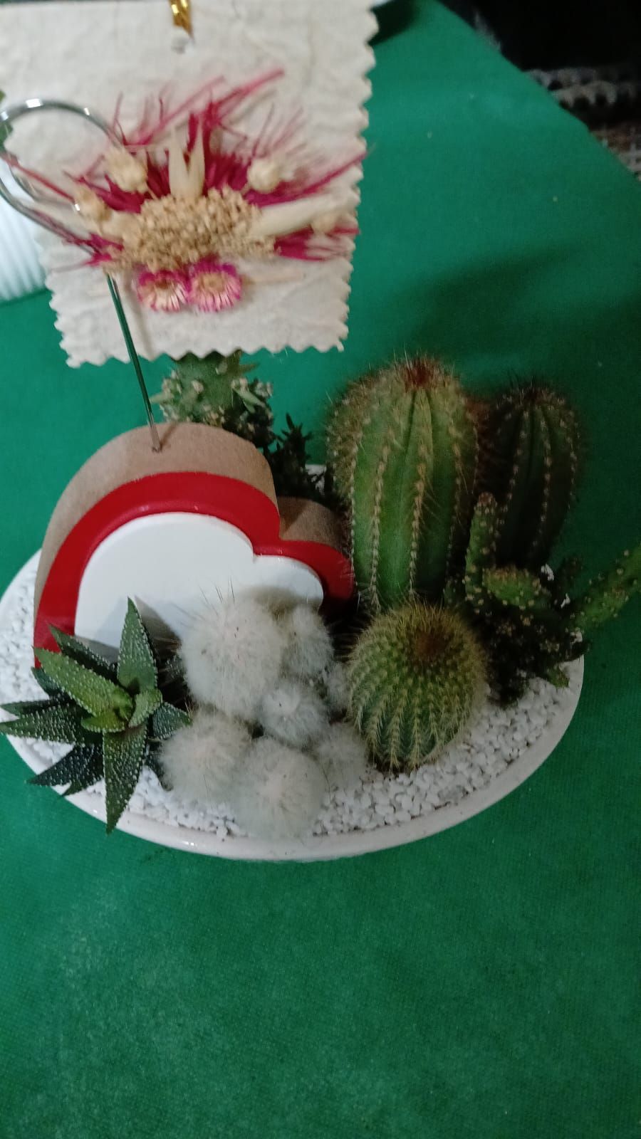 Un piccolo giardino di cactus in un piatto bianco, con un arco arcobaleno e un ornamento floreale sullo sfondo.