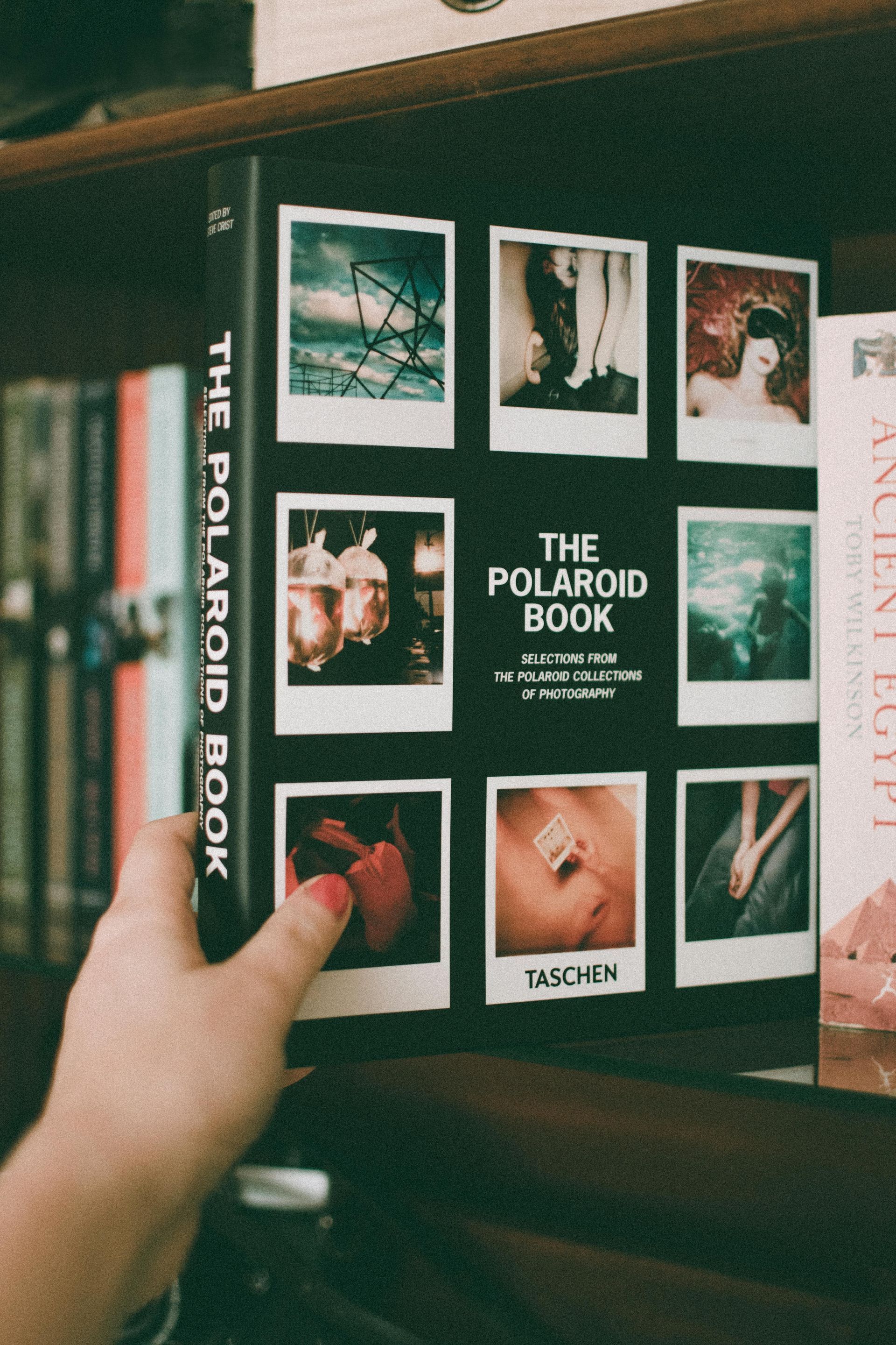 A person is holding a book titled the polaroid book