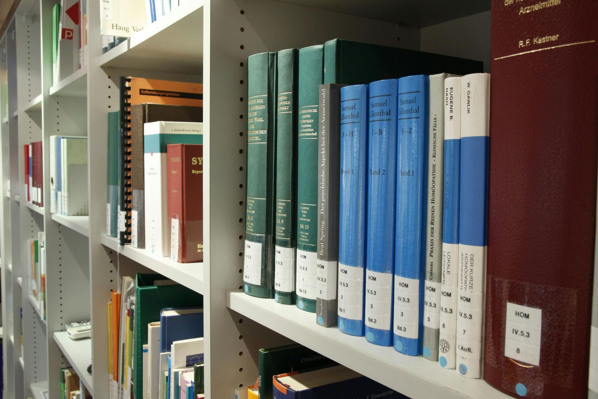 A row of books on a library shelf one of which is titled ' a brief history '