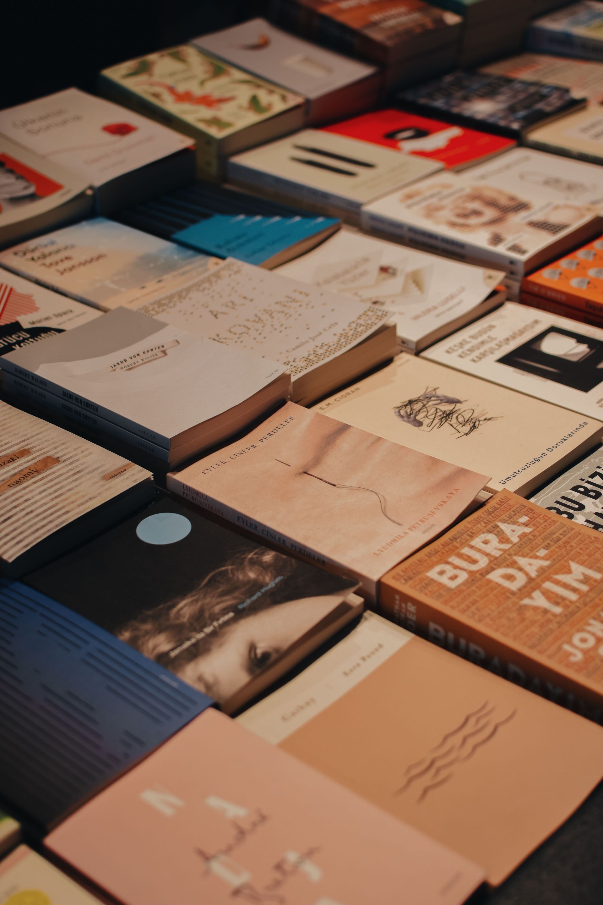 Assorted colorful books arranged in a neat display on a table