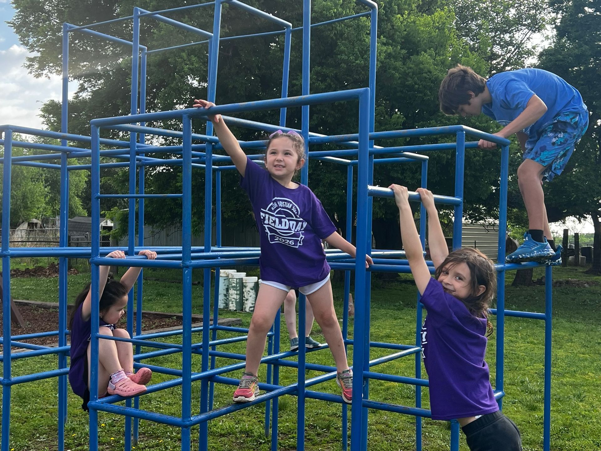 Children playing on blue jungle gym bars at a park, with one climbing and others hanging and sitting.