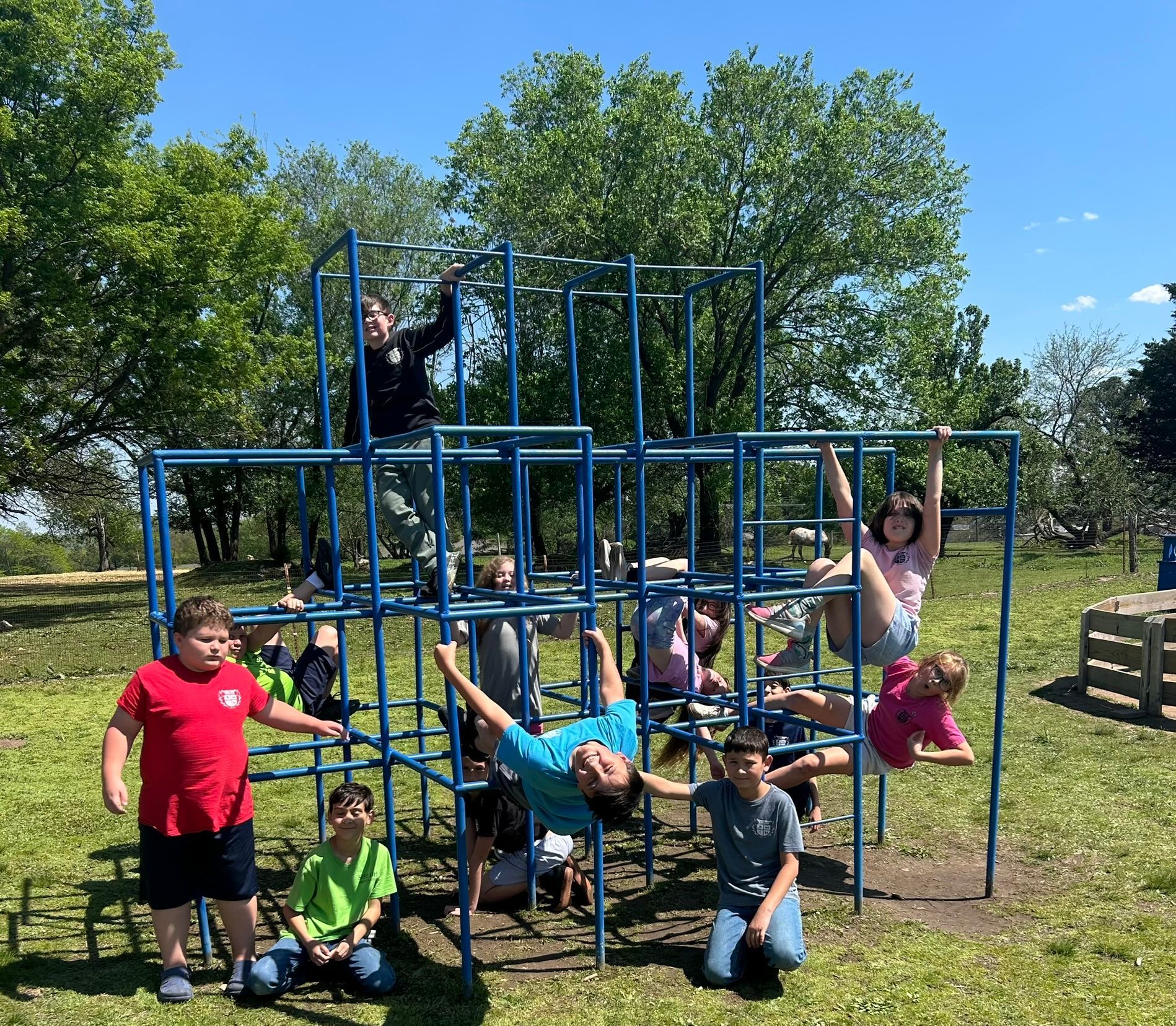Children posing and climbing on a blue jungle gym in a sunny park