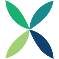 Decorative star icon