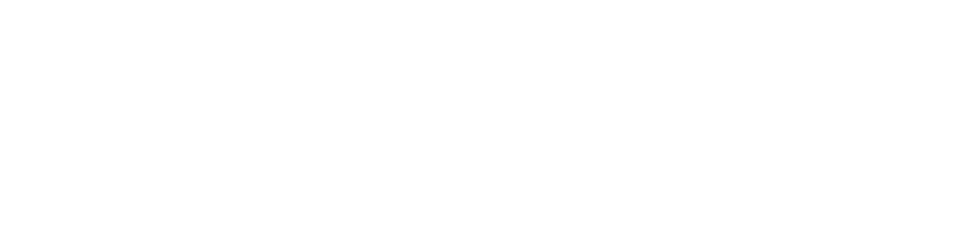 Logo Footer