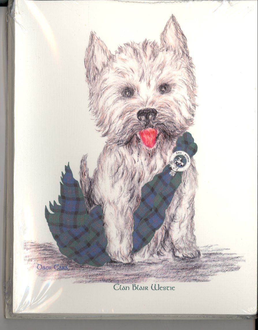 Stationary - Scottie
